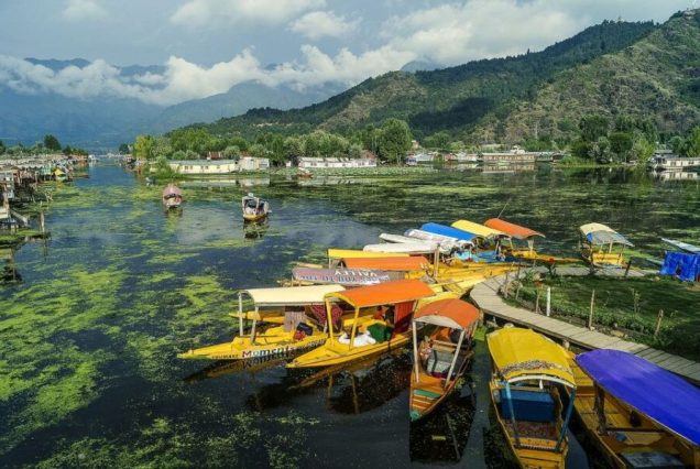 Kashmir Tour Package