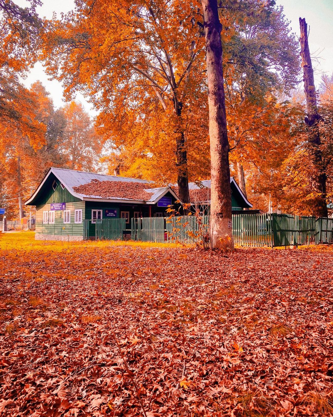 Kashmir